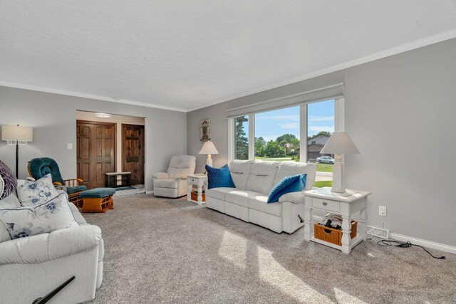 25049 W Kay Dr, Plainfield, IL 60586 - photo 6