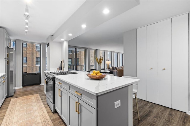 1230 N State Pkwy Unit 7D, Chicago, IL 60610 - kitchen featuring stainless steel appliances, gray cabinets, a center island, dark wood-style floors, and recessed lighting