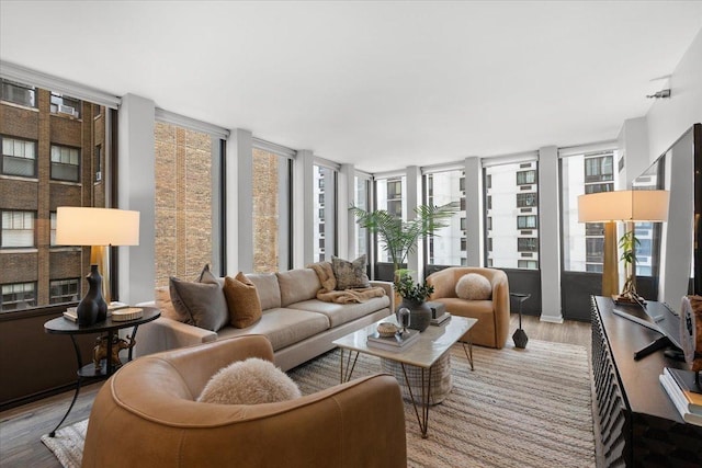 1230 N State Pkwy Unit 7D, Chicago, IL 60610 - living room featuring wood finished floors