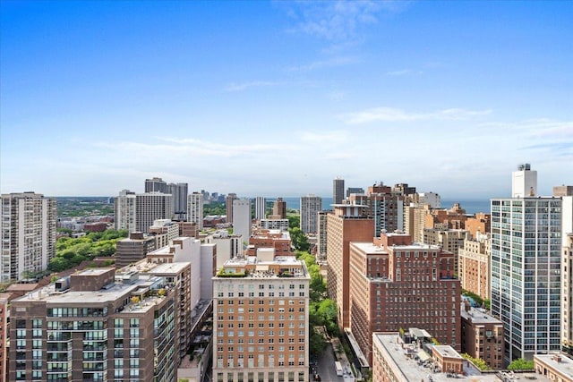 1230 N State Pkwy Unit 7D, Chicago, IL 60610 - city view