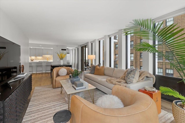 1230 N State Pkwy Unit 7D, Chicago, IL 60610 - living room featuring wood finished floors