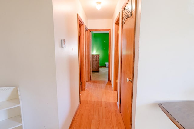 415 Swift Ave, Oglesby, IL 61348 - hallway with light wood finished floors
