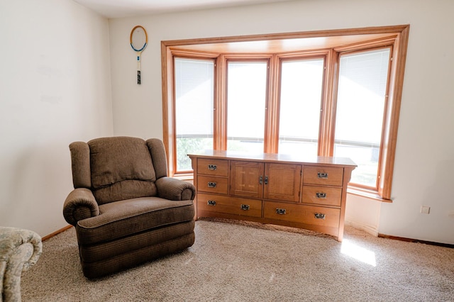 415 Swift Ave, Oglesby, IL 61348 - sitting room featuring light colored carpet and baseboards