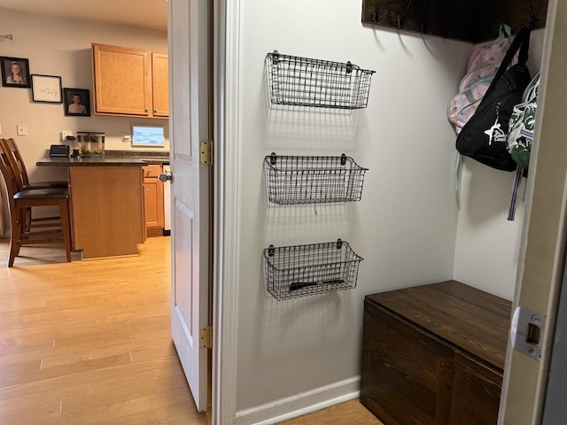 6 Kimberly Dr, Spring Valley, IL 61362 - walk in closet featuring light wood finished floors