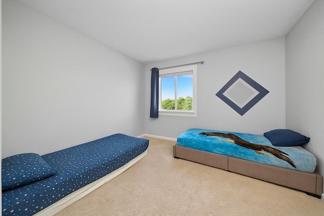 1024 Birchwood Dr, Pingree Grove, IL 60140 - bedroom featuring carpet floors and baseboards