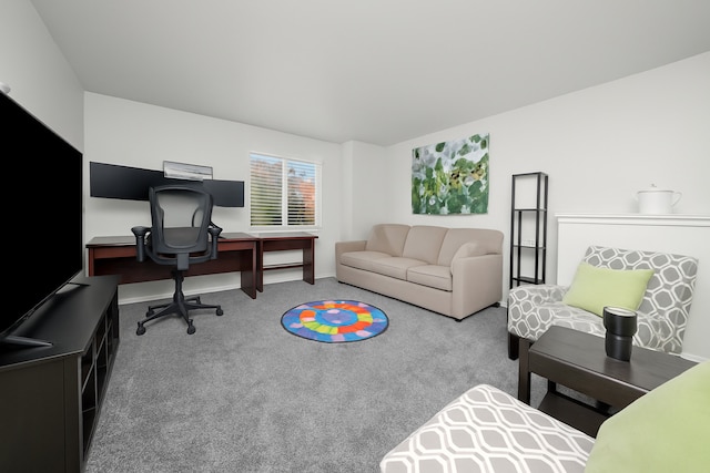1024 Birchwood Dr, Pingree Grove, IL 60140 - carpeted office space with baseboards