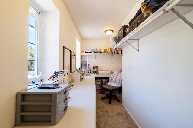 2001 Jeffrey Ln, Elgin, IL 60123 - walk in closet featuring light colored carpet