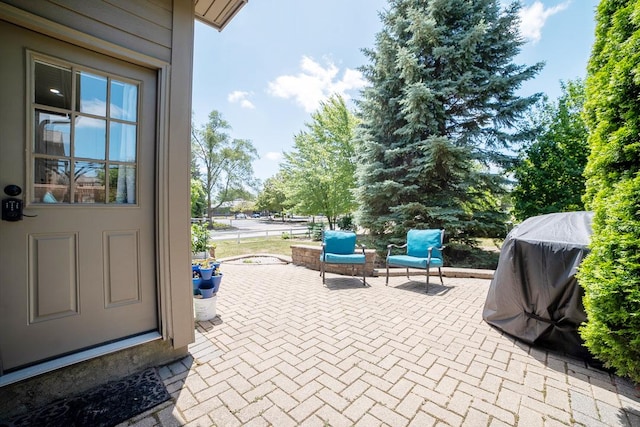 2001 Jeffrey Ln, Elgin, IL 60123 - view of patio / terrace with area for grilling