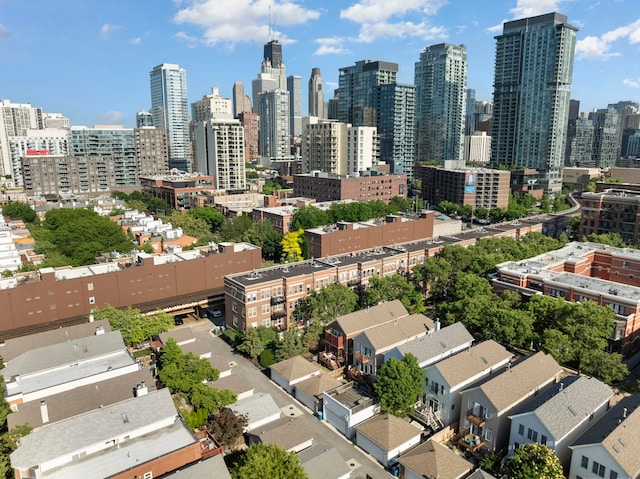 1255 N Orleans Ct Unit 1104, Chicago, IL 60610 - view of city skyline