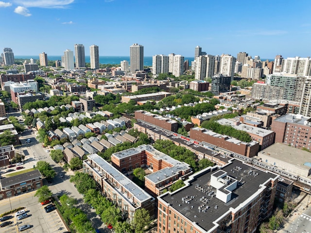 1255 N Orleans Ct Unit 1104, Chicago, IL 60610 - view of urban area