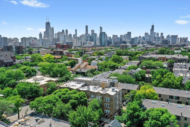 535 W Eugenie St Unit 1, Chicago, IL 60614 - skyline view
