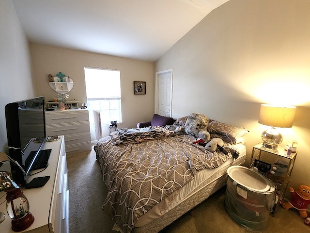 2510 Lorraine Cir, Geneva, IL 60134 - carpeted bedroom featuring lofted ceiling