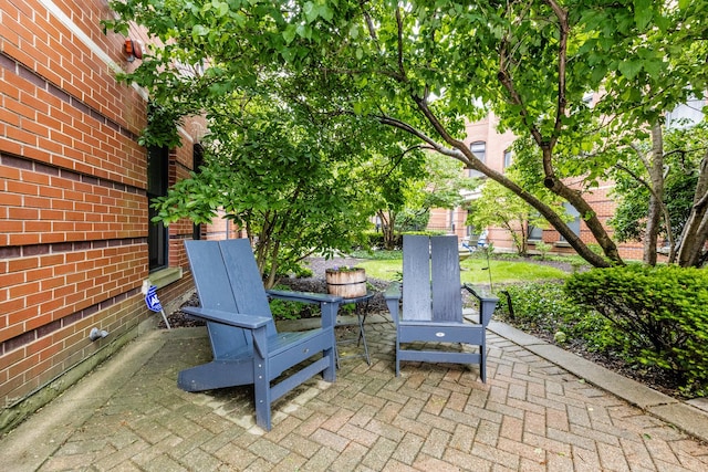 909 W Village Ct, Chicago, IL 60608 - view of patio / terrace