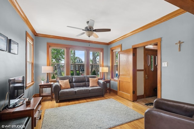 2431 Euclid Ave, Berwyn, IL 60402 - photo 4