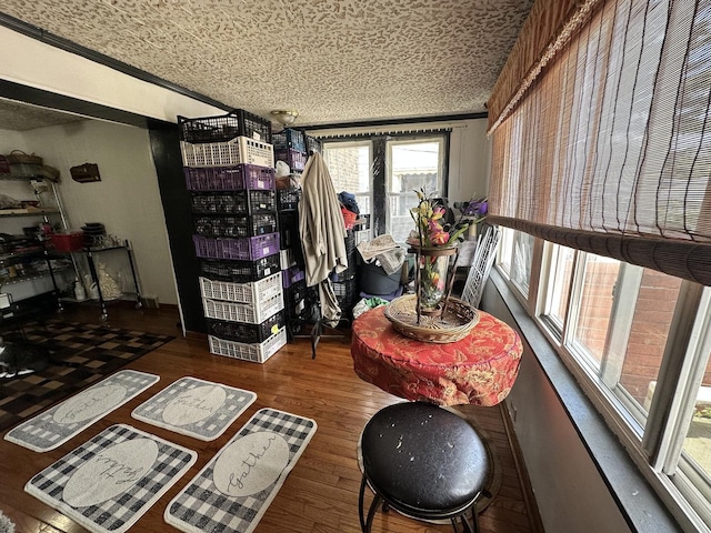 4440 W Iowa St, Chicago, IL 60651 - view of sunroom
