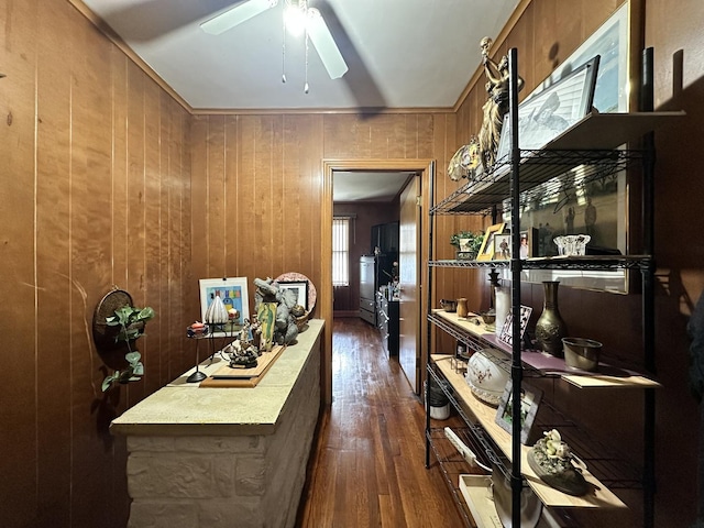 4440 W Iowa St, Chicago, IL 60651 - hallway with dark wood-style flooring and wood walls