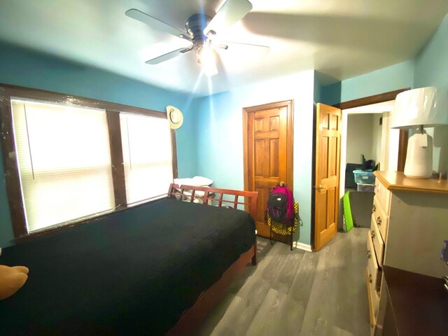 4439 Grace St, Schiller Park, IL 60176 - photo 16