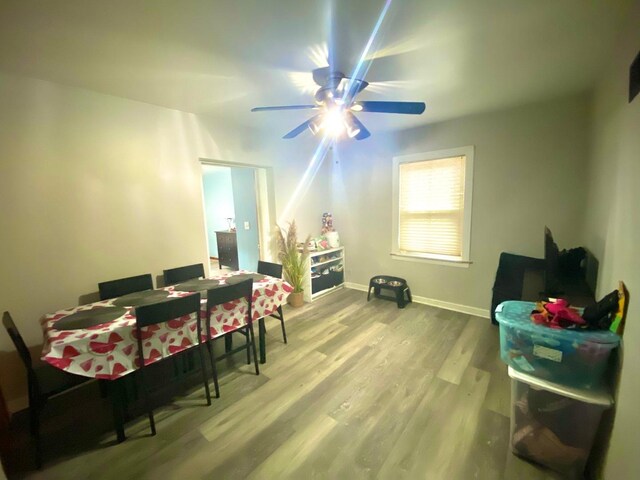 4439 Grace St, Schiller Park, IL 60176 - photo 10