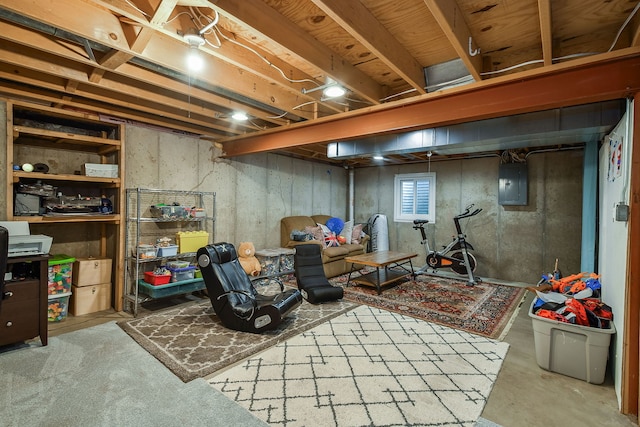 1605 Rita Ave, Saint Charles, IL 60174 - below grade area with electric panel