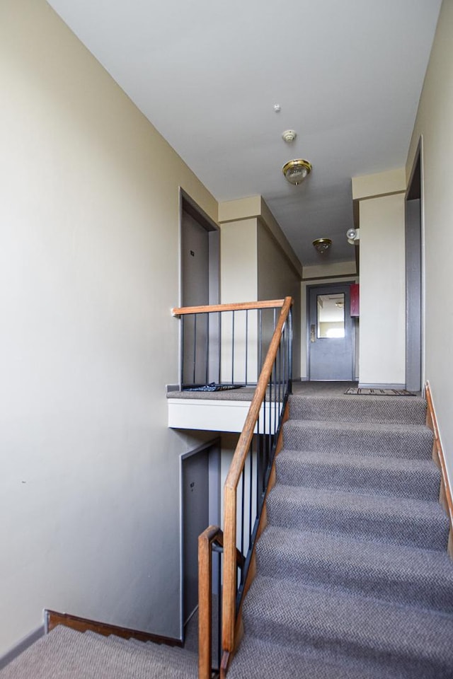 17242 71st Ct Unit 10, Tinley Park, IL 60477 - staircase featuring carpet floors and baseboards