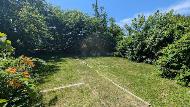 6240 S Kolmar Ave, Chicago, IL 60629 - view of green lawn