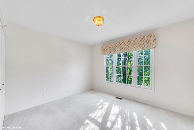 1175 Oxford Ct, Lake Zurich, IL 60047 - spare room with carpet and baseboards