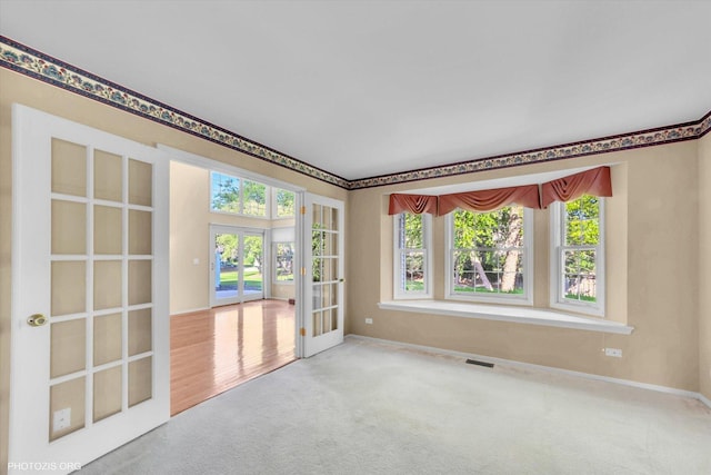 1175 Oxford Ct, Lake Zurich, IL 60047 - spare room with healthy amount of natural light, french doors, and carpet flooring
