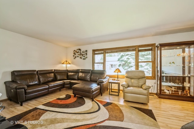 11607 Frederick Way, Huntley, IL 60142 - living area featuring light wood-style floors and baseboards