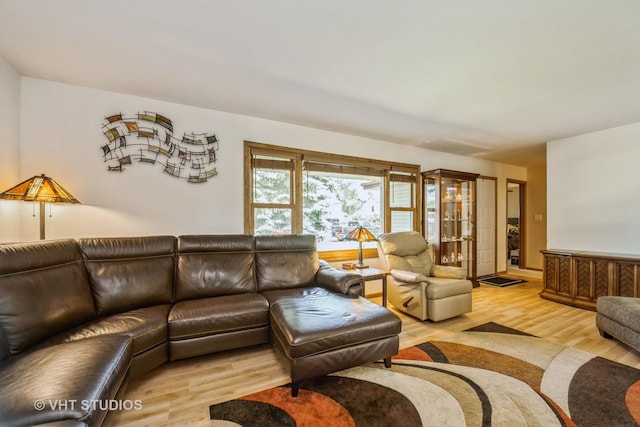 11607 Frederick Way, Huntley, IL 60142 - living room with wood finished floors