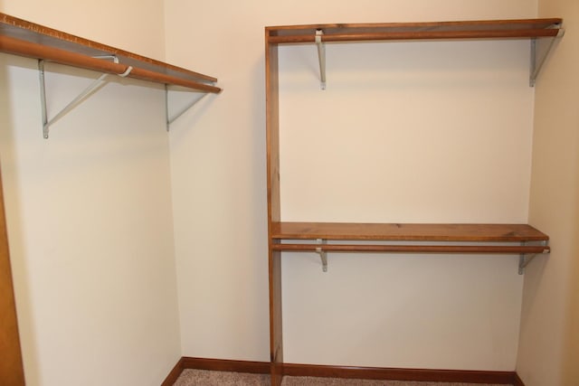 28 Manorhill Dr, Clinton, IL 61727 - spacious closet with carpet
