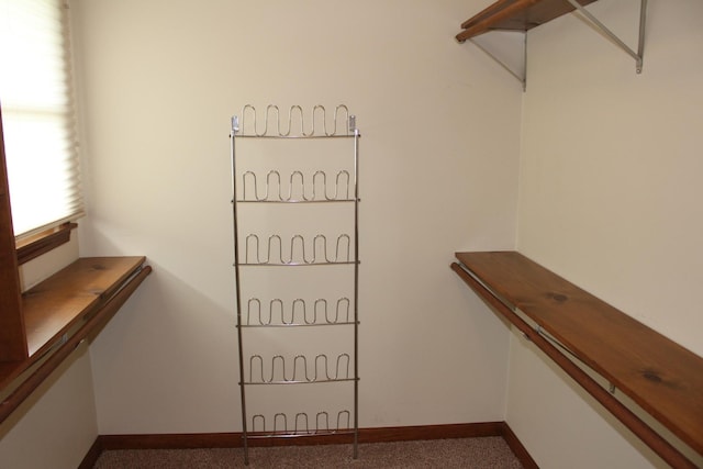 28 Manorhill Dr, Clinton, IL 61727 - spacious closet with carpet