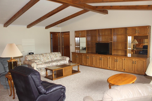 28 Manorhill Dr, Clinton, IL 61727 - living area with carpet floors