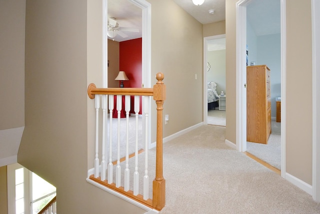 3115 Sable Oaks Rd, Bloomington, IL 61704 - hall featuring carpet and an upstairs landing