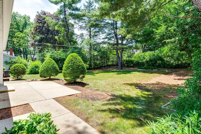 222 S Maple St, Palatine, IL 60067 - view of grassy yard with a patio and view of wooded area
