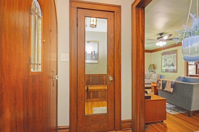 9 Harwood Pl, Bloomington, IL 61701 - hall featuring wood finished floors