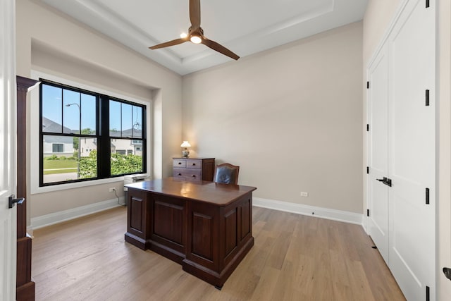 4216 Carpenter Rd, Naperville, IL 60564 - office with ceiling fan, light wood-style floors, and a raised ceiling