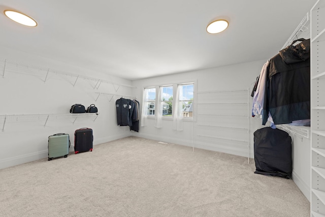 4216 Carpenter Rd, Naperville, IL 60564 - walk in closet featuring carpet floors