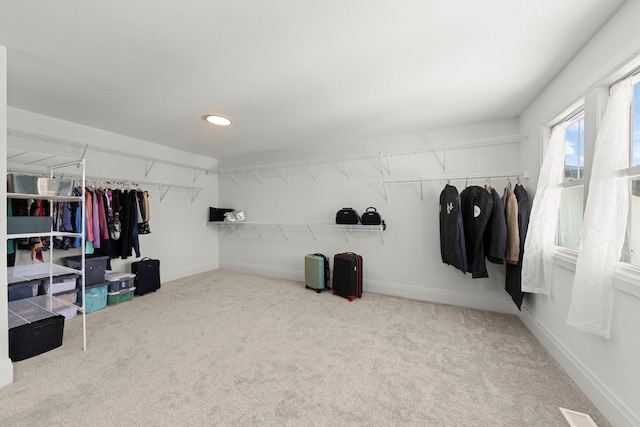 4216 Carpenter Rd, Naperville, IL 60564 - walk in closet with carpet