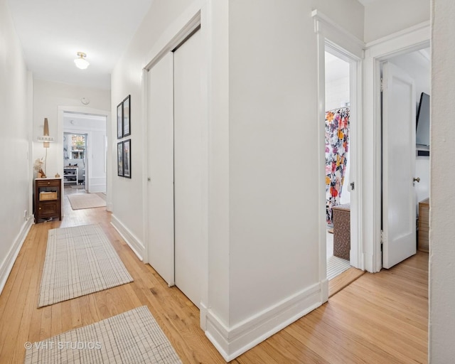 5245 N Winthrop Ave Unit 3S, Chicago, IL 60640 - hallway featuring light wood-type flooring and baseboards