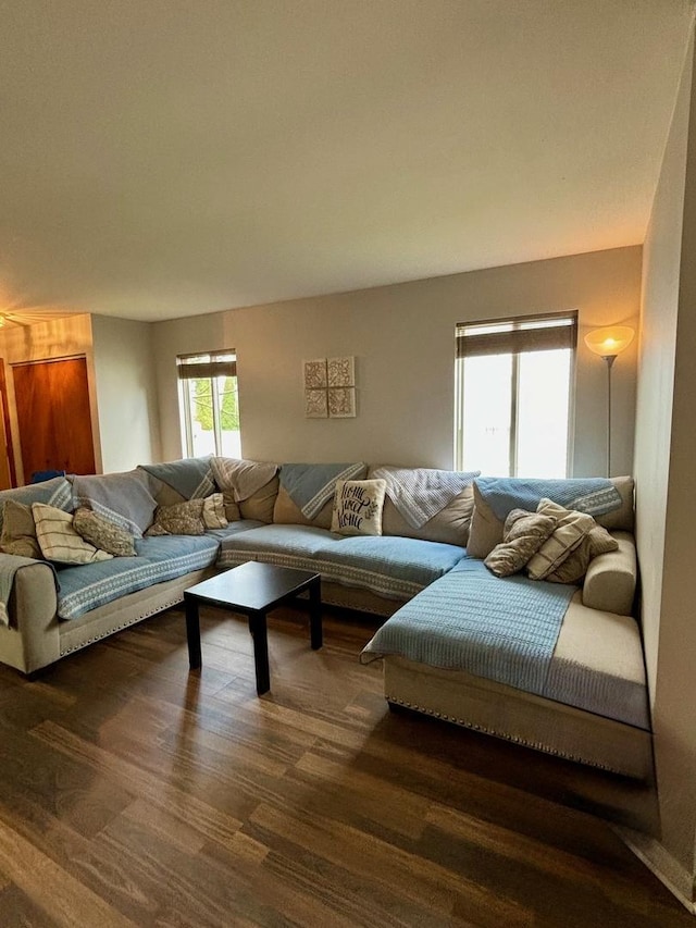 14155 S Hemingway Cir, Plainfield, IL 60544 - living room featuring wood finished floors