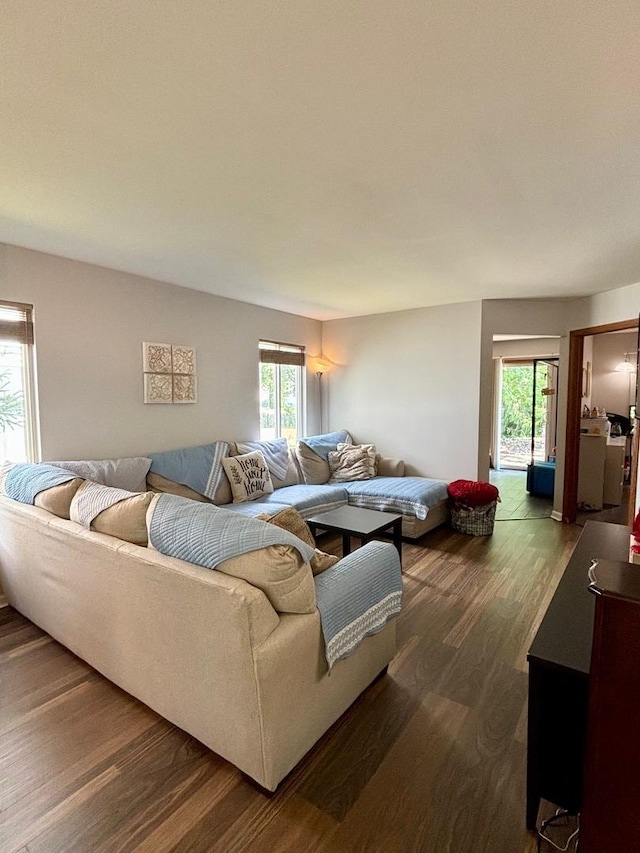14155 S Hemingway Cir, Plainfield, IL 60544 - living area with dark wood-style flooring and plenty of natural light