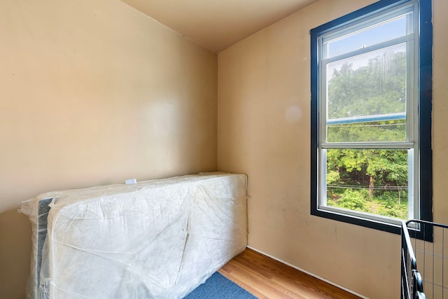 2421 W 21st Pl, Chicago, IL 60608 - bedroom with multiple windows and wood finished floors