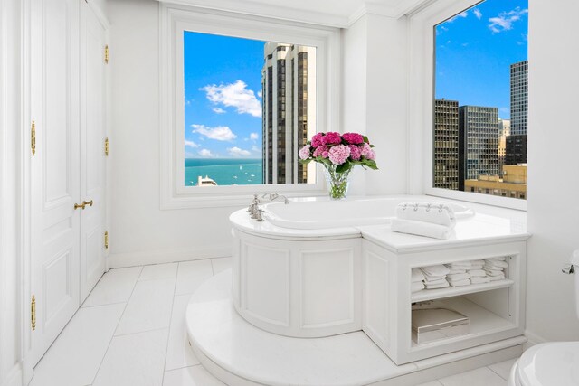 209 E Lake Shore Dr Unit 14, Chicago, IL 60611 - photo 18