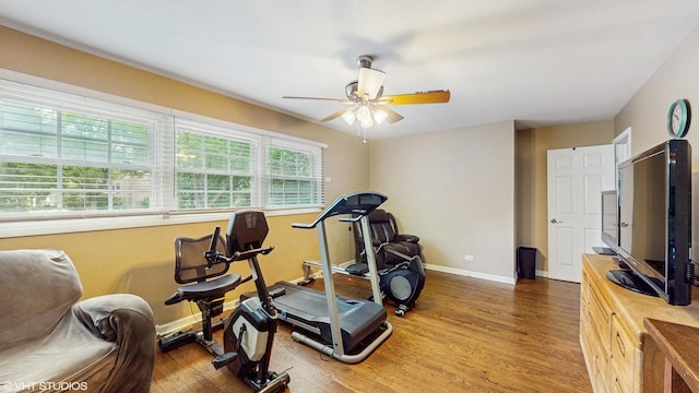 1502 S Fernandez Ave, Arlington Heights, IL 60005 - workout room with wood finished floors and ceiling fan