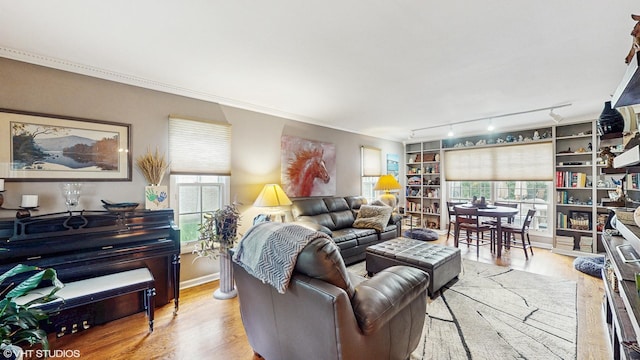 1502 S Fernandez Ave, Arlington Heights, IL 60005 - living room with wood finished floors, healthy amount of natural light, and ornamental molding