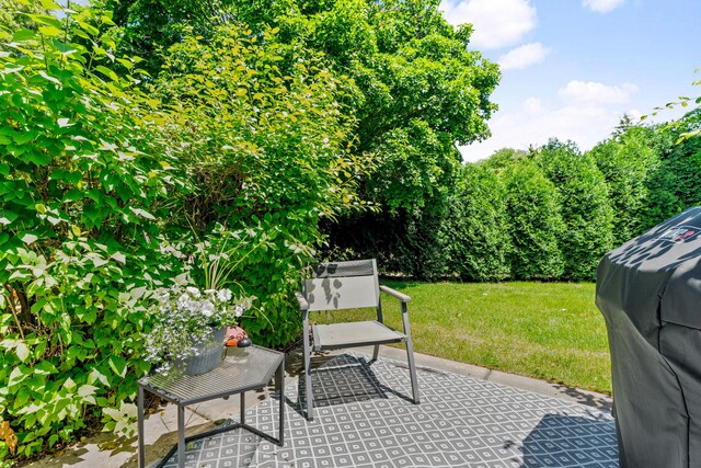 7833 Darien Lake Dr, Darien, IL 60561 - photo 12