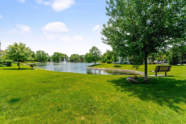 7833 Darien Lake Dr, Darien, IL 60561 - photo 15