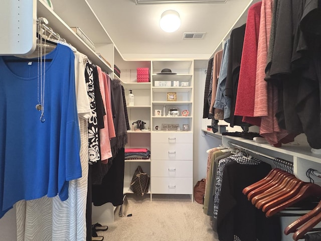 2305 Fox Run Dr, Kankakee, IL 60901 - spacious closet with carpet flooring