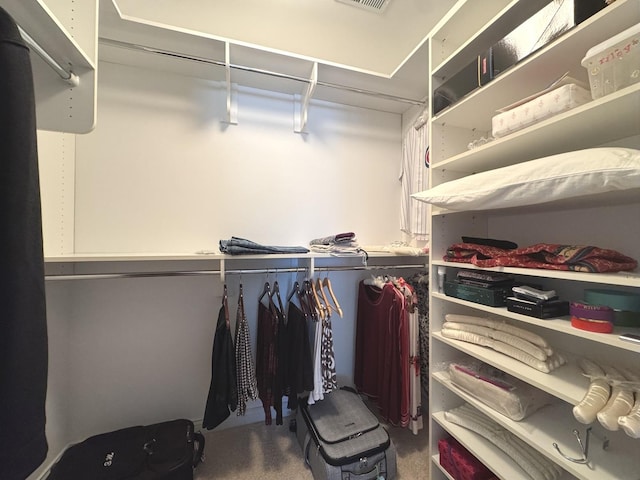 2305 Fox Run Dr, Kankakee, IL 60901 - walk in closet with carpet floors