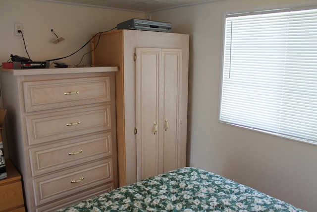 183 Fossil Cove Ct, Wilmington, IL 60481 - bedroom with ornamental molding